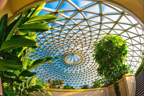 Brisbane Botanic Gardens Mount Coot-tha - Attractions 0