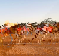 Broken Hill Camels - Attractions