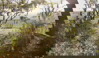 Bundanoon Creek walking track