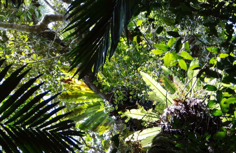 Byrrill Creek Walking Track - Attractions 0