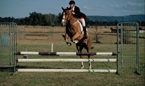 Camden Bicentennial Equestrian Park - Attractions 0