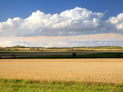 Cambooya - Attractions 2