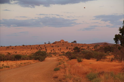 Castle Rock Walk And Lookout - Attractions 0