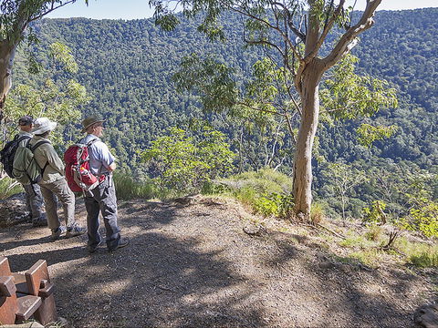 Caves Circuit, Lamington National Park - Attractions 0