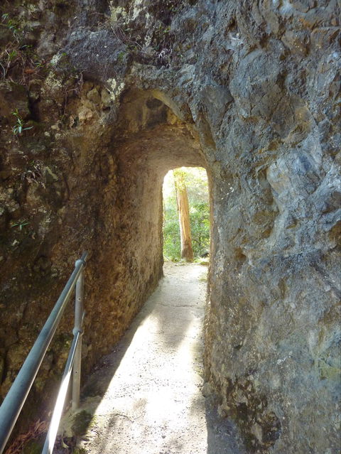 Caves Circuit, Lamington National Park - Attractions 1