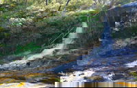 Charles Darwin walk