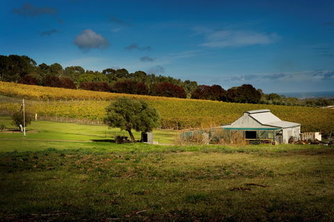 Coast To Vines Rail Trail - Attractions 2