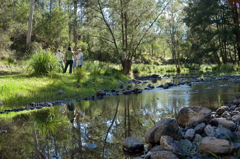 Condamine Gorge '14 River Crossing' - Attractions 0