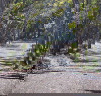 Coolah Tops National Park - Attractions