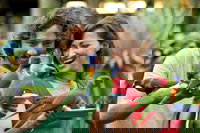 Currumbin Wildlife Sanctuary