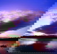 Currumbin Waters - Attractions