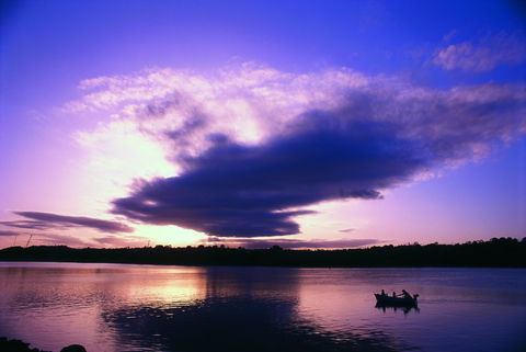 Currumbin Waters - Attractions 0