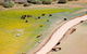 Cuttaburra Crossing - thumb 1