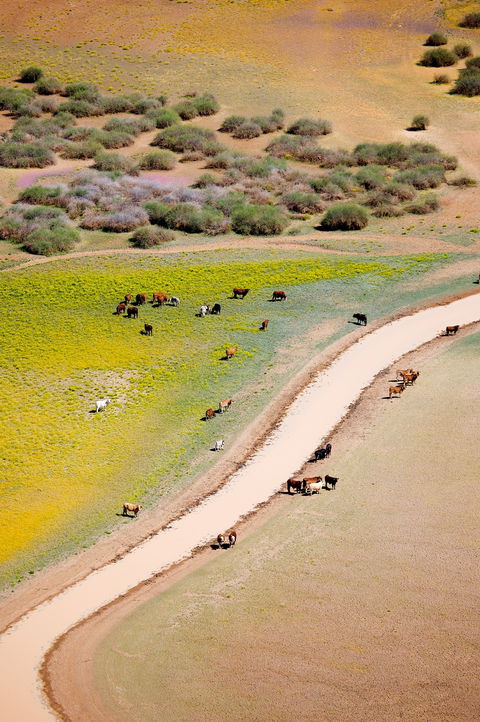 Cuttaburra Crossing - Attractions 1