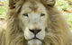 Darling Downs Zoo - thumb 0