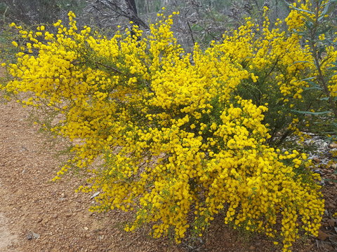 Dawn Atwell Nature Reserve - Attractions 2