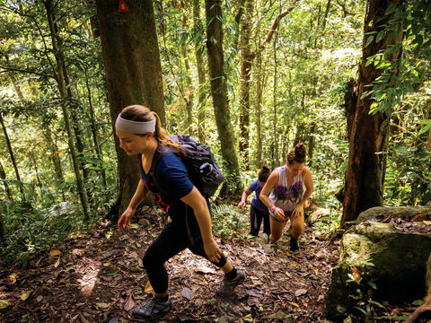 Devils Thumb (Manjal Jimalji) Trail - Attractions 0