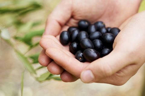 Eat, Pick, Grow Trail - Wanneroo And Chittering - Attractions 0