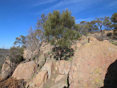 Eldorado And The Woolshed Valley - Attractions 2