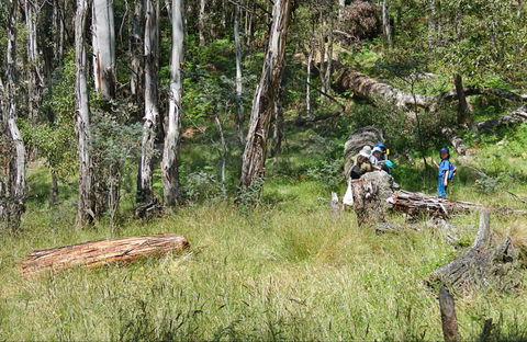Federal Falls Walk - Attractions 0