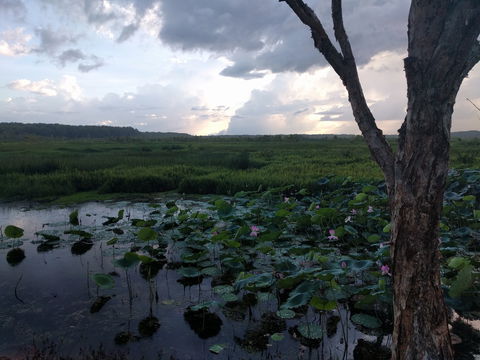 Fogg Dam Conservation Reserve - Attractions 0