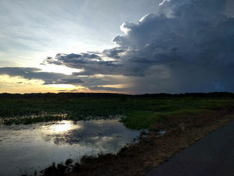 Fogg Dam Conservation Reserve - Attractions 2