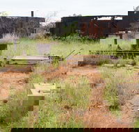 Ghans Bore No7 Govt Bore - Attractions