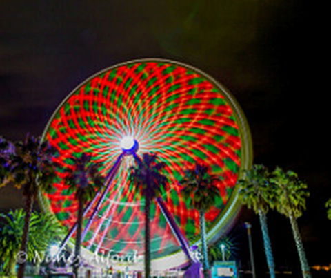 Giant Ferris Wheel - Hello Hi Lite Amusements - Attractions 1