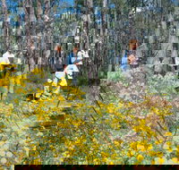 Gidgegannup - Attractions