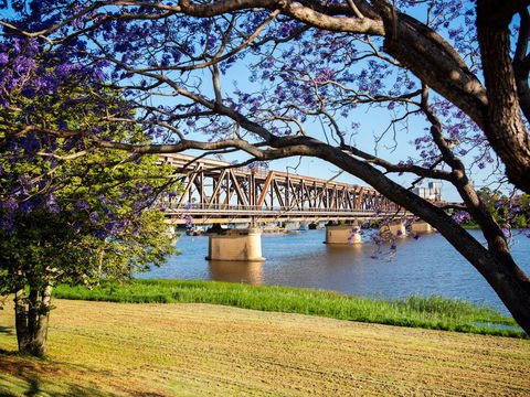 Grafton 'Bendy' Bridge - Attractions 0