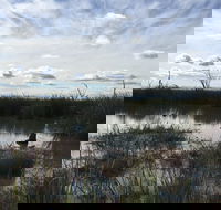 Gwydir Wetlands Moree - Attractions