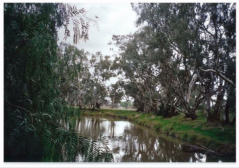 Henty Government Dam Nature Reserve - Attractions 0