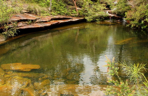Hominy Creek Walking Track - Attractions 0
