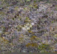 Horsnell Gully and Giles Conservation Parks - Attractions