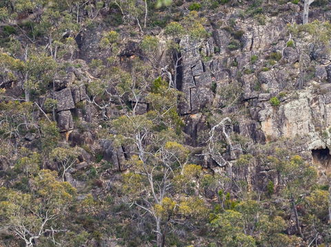 Horsnell Gully And Giles Conservation Parks - Attractions 0