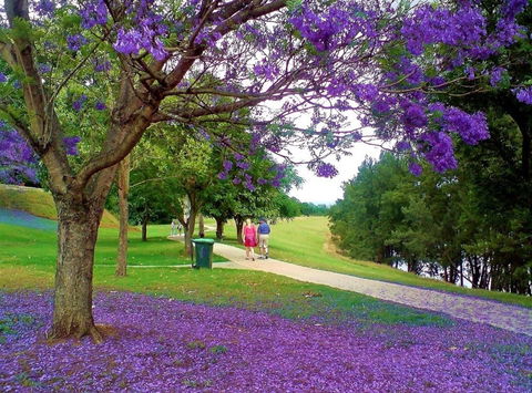 Howe Park - Attractions 0