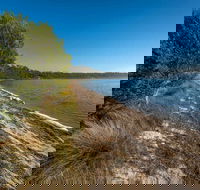 Jewfish Walk - Attractions