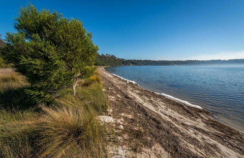 Jewfish Walk - Attractions 0