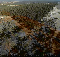 Julimar Date Garden - Attractions