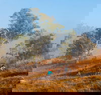 Kambah Pool to Pine Island Walking Trail - Attractions