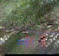 Kerewong State Forest - Attractions