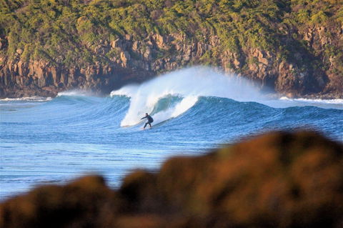 Killalea Reserve - Attractions 1