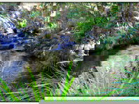 Book Kin Kin Accommodation Vacations Attractions Attractions