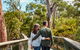 Koala Conservation Reserve - thumb 2