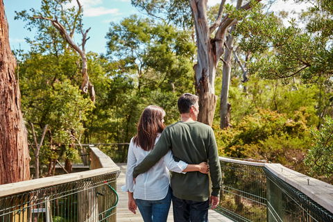 Koala Conservation Reserve - Attractions 2