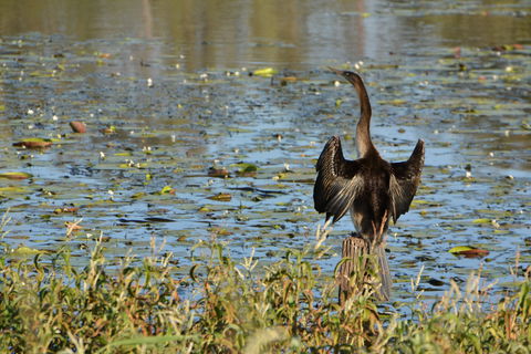 Lake Apex Park - Attractions 0