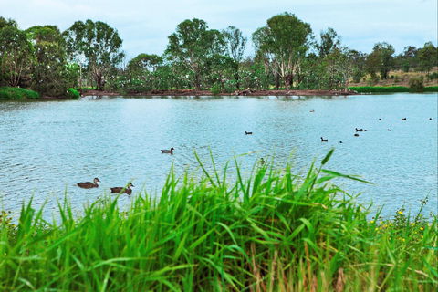 Lake Apex Park - Attractions 1