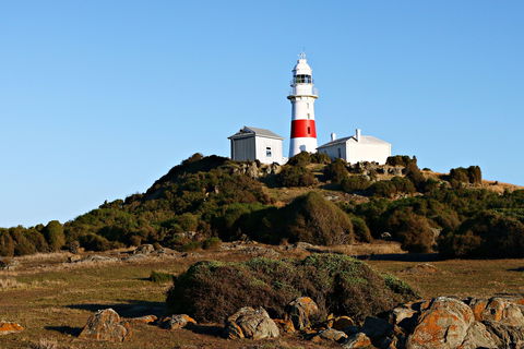 Low Head Foghorn - Attractions 1