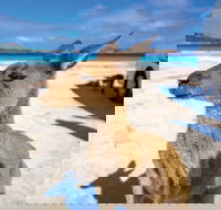 Lucky Bay - Attractions