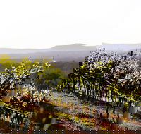 Mount View - Attractions